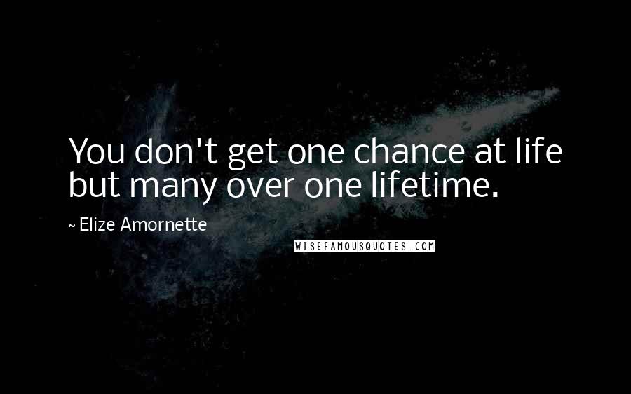 Elize Amornette Quotes: You don't get one chance at life but many over one lifetime.