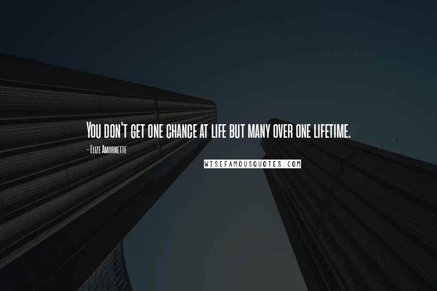 Elize Amornette Quotes: You don't get one chance at life but many over one lifetime.