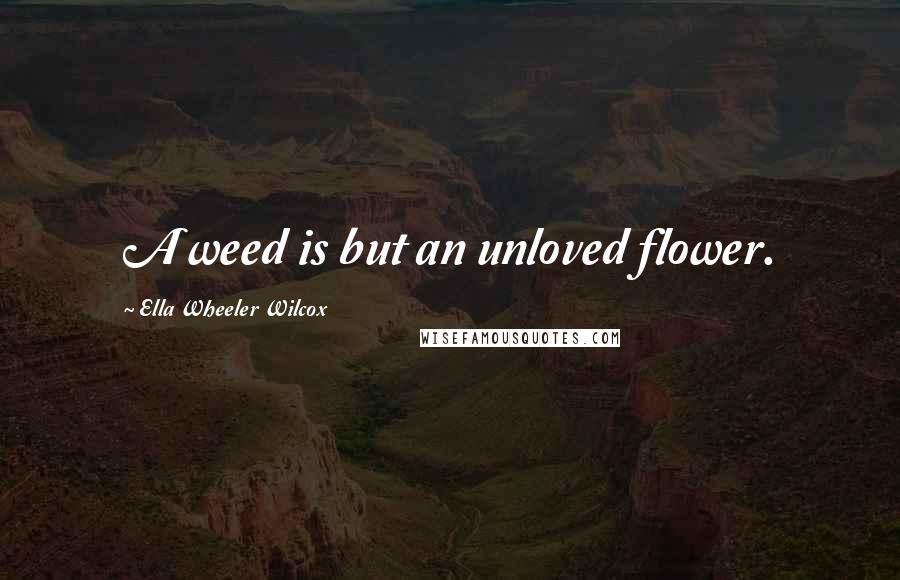 Ella Wheeler Wilcox Quotes: A weed is but an unloved flower.