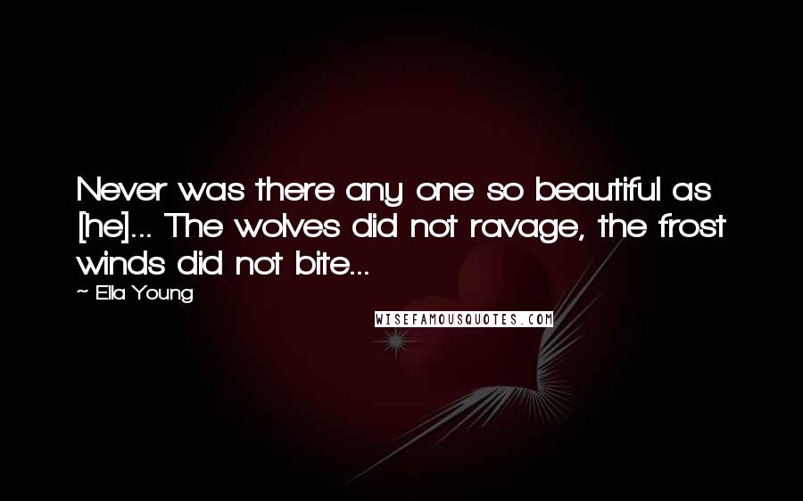 Ella Young Quotes: Never was there any one so beautiful as [he]... The wolves did not ravage, the frost winds did not bite...