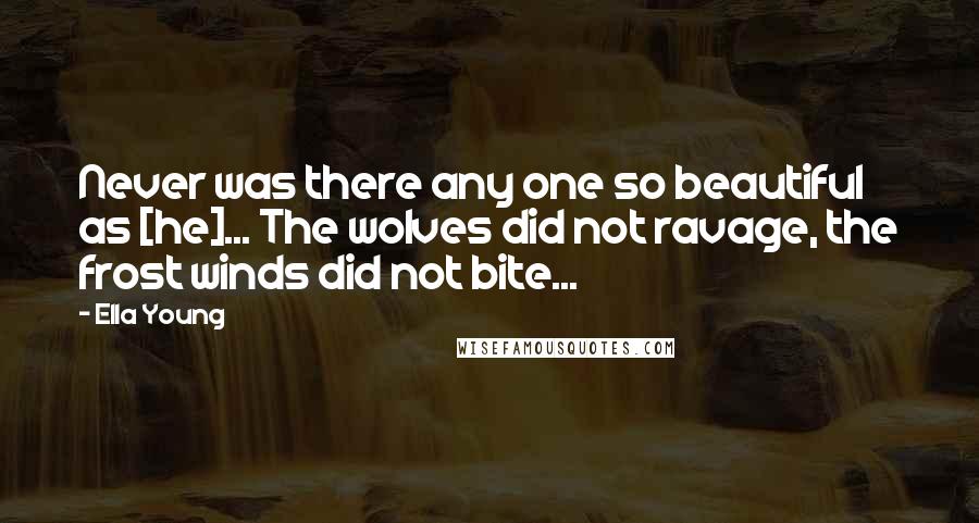 Ella Young Quotes: Never was there any one so beautiful as [he]... The wolves did not ravage, the frost winds did not bite...