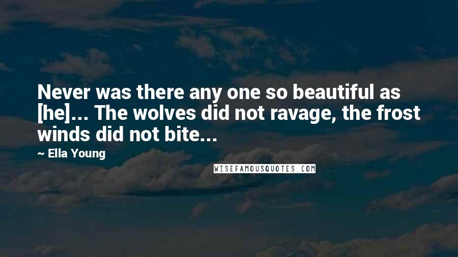 Ella Young Quotes: Never was there any one so beautiful as [he]... The wolves did not ravage, the frost winds did not bite...