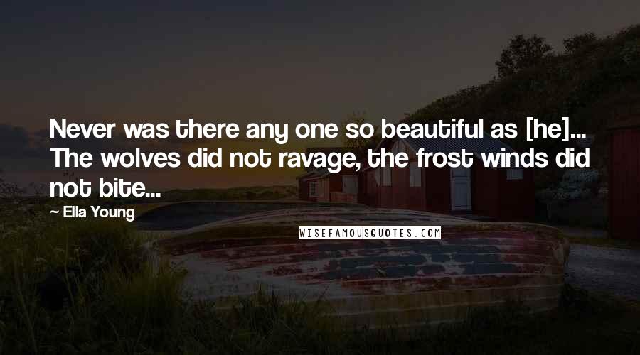 Ella Young Quotes: Never was there any one so beautiful as [he]... The wolves did not ravage, the frost winds did not bite...