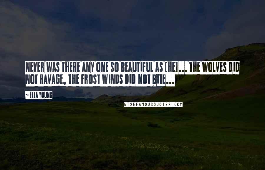 Ella Young Quotes: Never was there any one so beautiful as [he]... The wolves did not ravage, the frost winds did not bite...