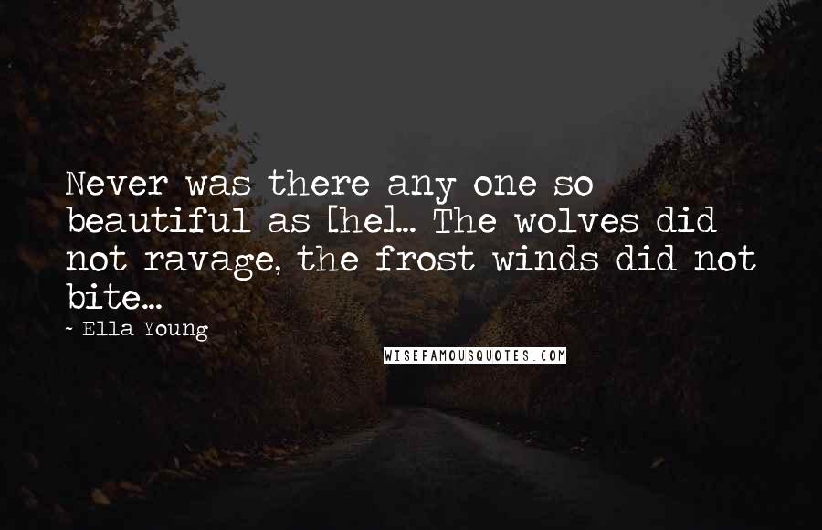 Ella Young Quotes: Never was there any one so beautiful as [he]... The wolves did not ravage, the frost winds did not bite...