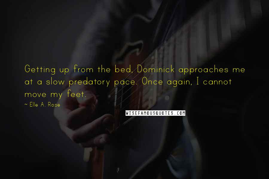 Elle A. Rose Quotes: Getting up from the bed, Dominick approaches me at a slow predatory pace. Once again, I cannot move my feet.