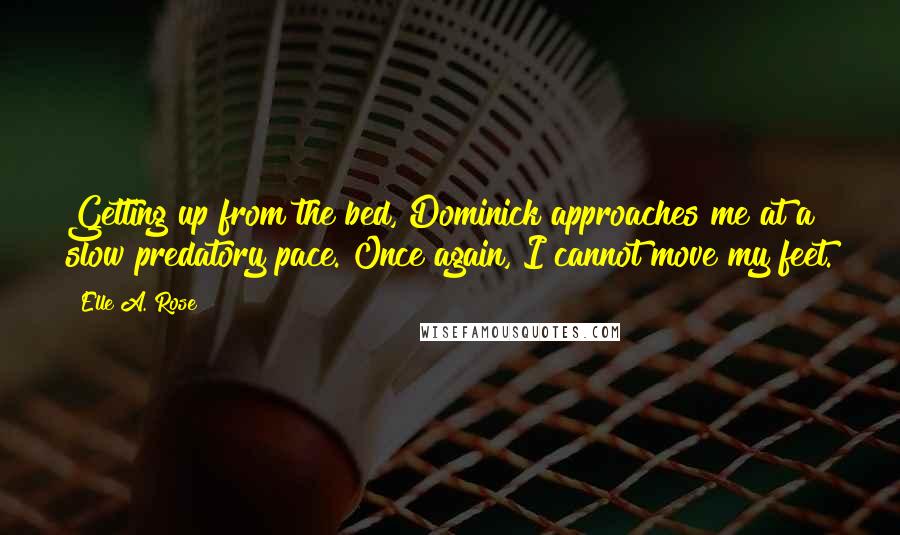 Elle A. Rose Quotes: Getting up from the bed, Dominick approaches me at a slow predatory pace. Once again, I cannot move my feet.