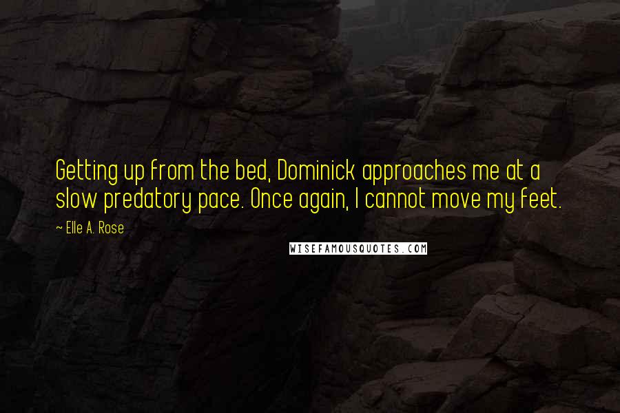 Elle A. Rose Quotes: Getting up from the bed, Dominick approaches me at a slow predatory pace. Once again, I cannot move my feet.