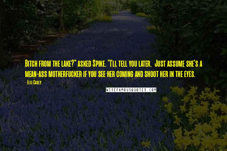 Elle Casey Quotes: Bitch from the lake?" asked Spike. "I'll tell you later.  Just assume she's a mean-ass motherfucker if you see her coming and shoot her in the eyes.