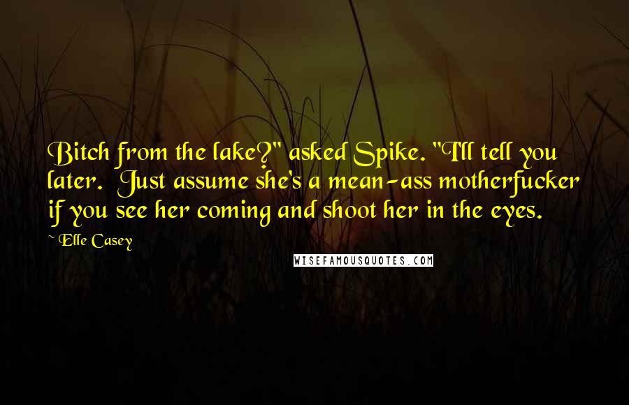 Elle Casey Quotes: Bitch from the lake?" asked Spike. "I'll tell you later.  Just assume she's a mean-ass motherfucker if you see her coming and shoot her in the eyes.