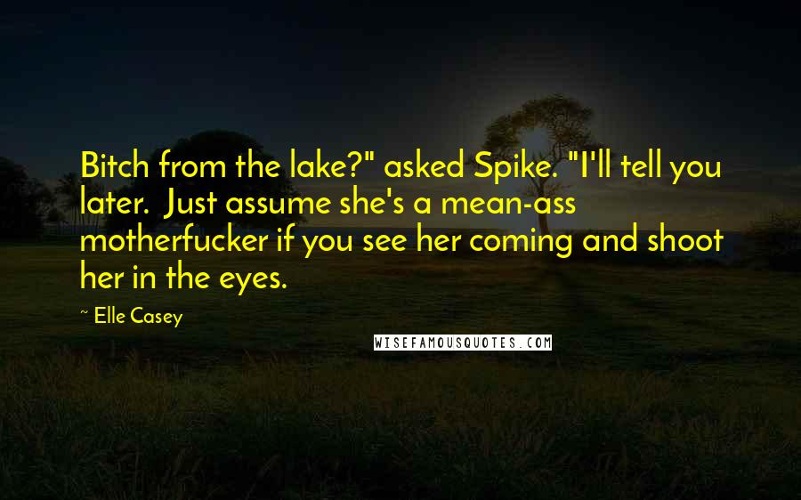 Elle Casey Quotes: Bitch from the lake?" asked Spike. "I'll tell you later.  Just assume she's a mean-ass motherfucker if you see her coming and shoot her in the eyes.