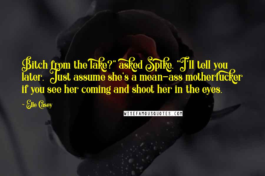 Elle Casey Quotes: Bitch from the lake?" asked Spike. "I'll tell you later.  Just assume she's a mean-ass motherfucker if you see her coming and shoot her in the eyes.