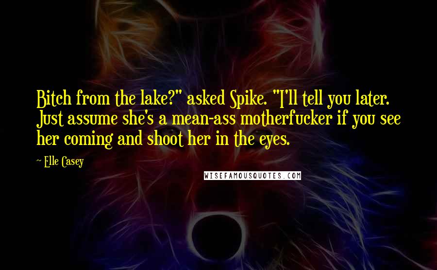 Elle Casey Quotes: Bitch from the lake?" asked Spike. "I'll tell you later.  Just assume she's a mean-ass motherfucker if you see her coming and shoot her in the eyes.