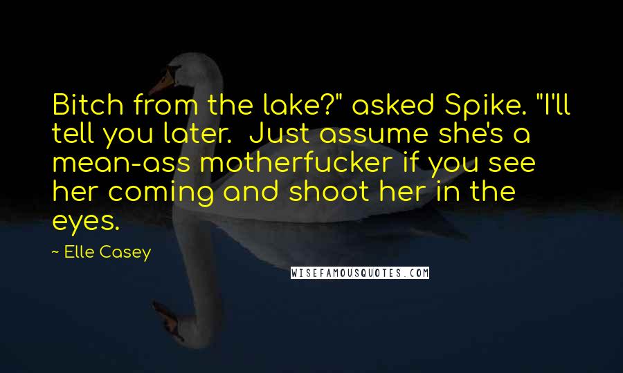 Elle Casey Quotes: Bitch from the lake?" asked Spike. "I'll tell you later.  Just assume she's a mean-ass motherfucker if you see her coming and shoot her in the eyes.