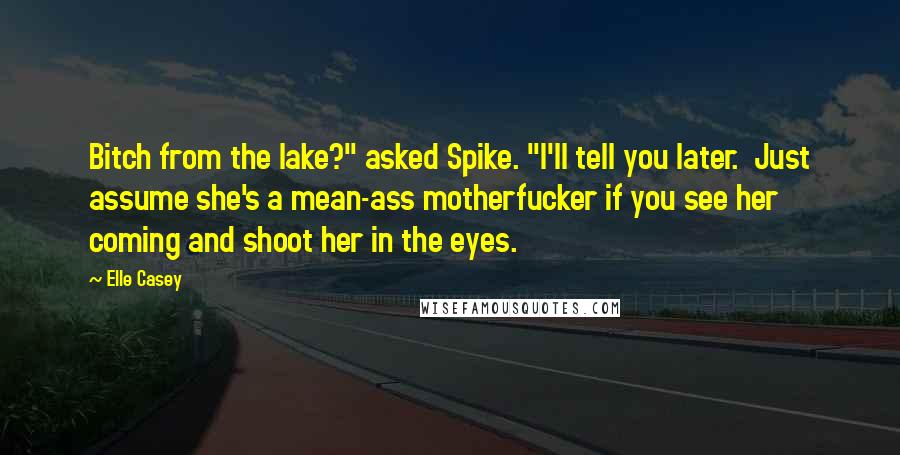 Elle Casey Quotes: Bitch from the lake?" asked Spike. "I'll tell you later.  Just assume she's a mean-ass motherfucker if you see her coming and shoot her in the eyes.
