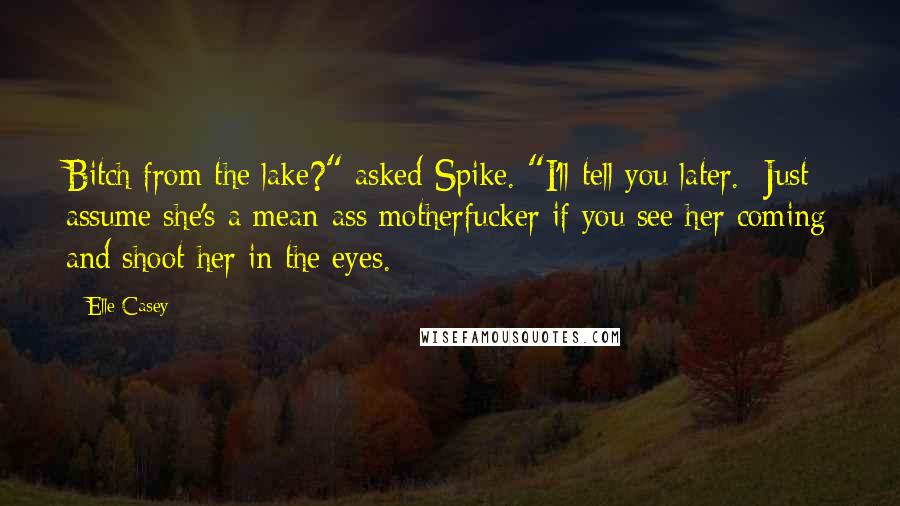 Elle Casey Quotes: Bitch from the lake?" asked Spike. "I'll tell you later.  Just assume she's a mean-ass motherfucker if you see her coming and shoot her in the eyes.