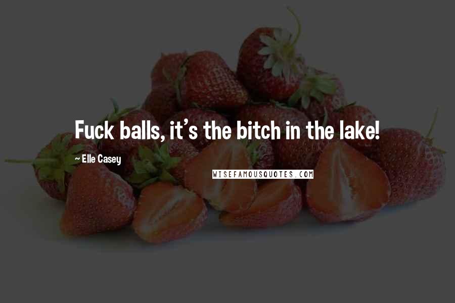 Elle Casey Quotes: Fuck balls, it's the bitch in the lake!