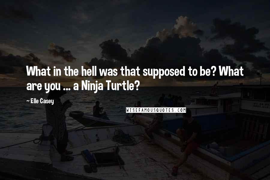 Elle Casey Quotes: What in the hell was that supposed to be? What are you ... a Ninja Turtle?