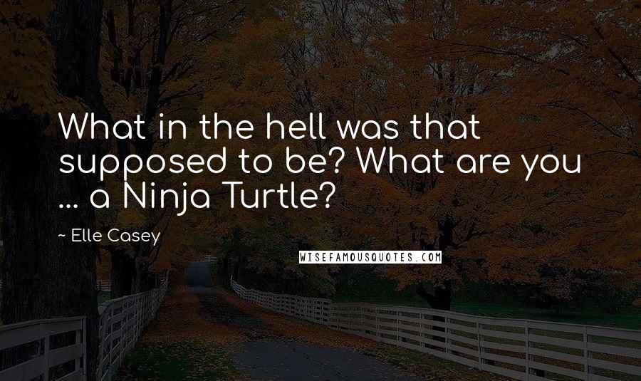 Elle Casey Quotes: What in the hell was that supposed to be? What are you ... a Ninja Turtle?