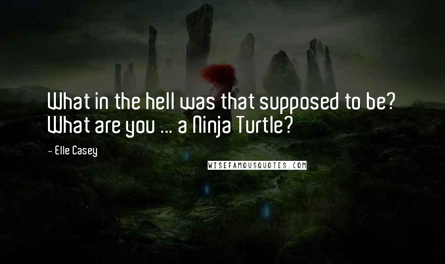 Elle Casey Quotes: What in the hell was that supposed to be? What are you ... a Ninja Turtle?