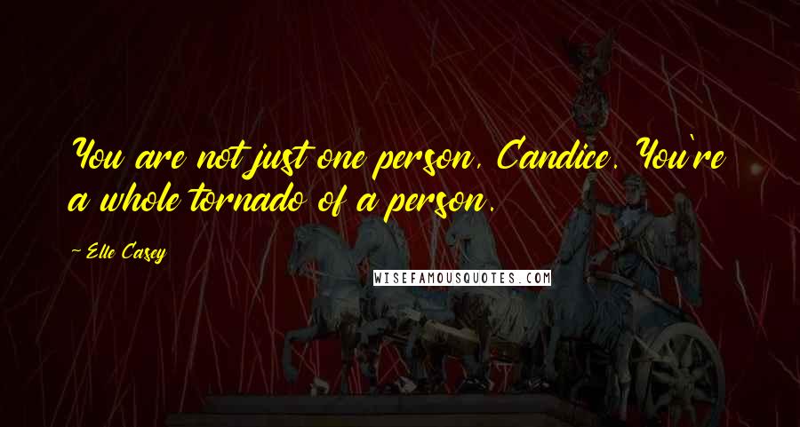 Elle Casey Quotes: You are not just one person, Candice. You're a whole tornado of a person.