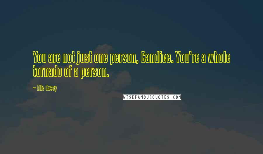 Elle Casey Quotes: You are not just one person, Candice. You're a whole tornado of a person.