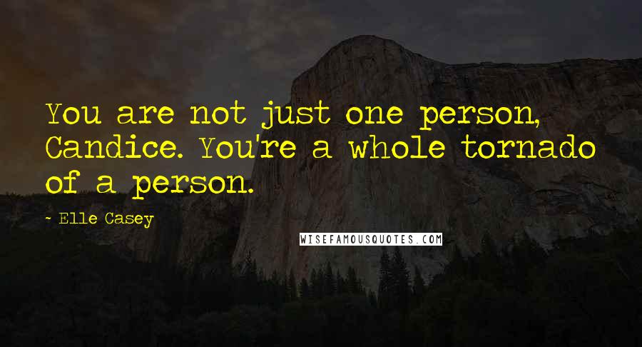 Elle Casey Quotes: You are not just one person, Candice. You're a whole tornado of a person.