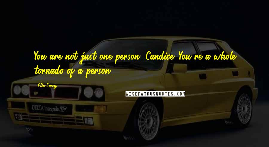 Elle Casey Quotes: You are not just one person, Candice. You're a whole tornado of a person.