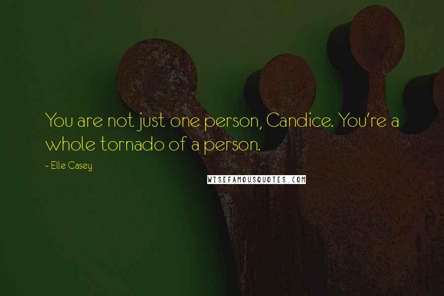 Elle Casey Quotes: You are not just one person, Candice. You're a whole tornado of a person.