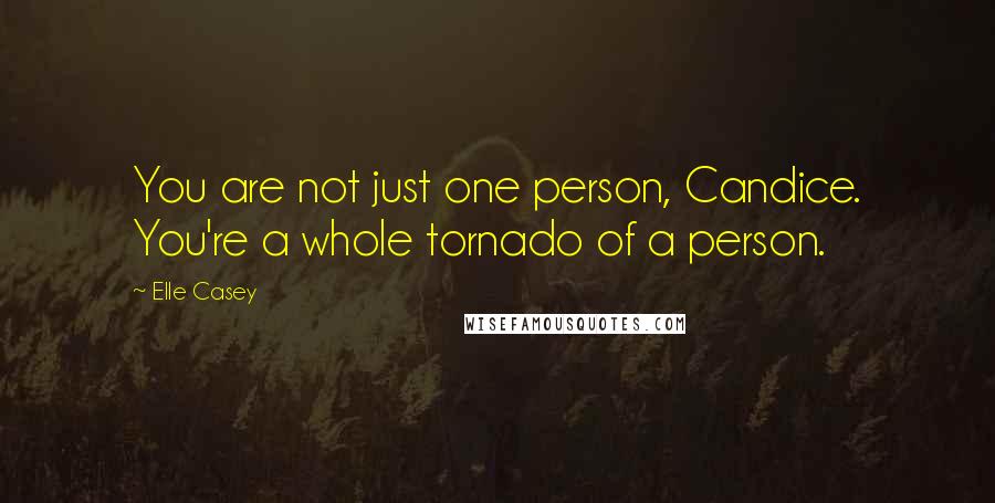 Elle Casey Quotes: You are not just one person, Candice. You're a whole tornado of a person.