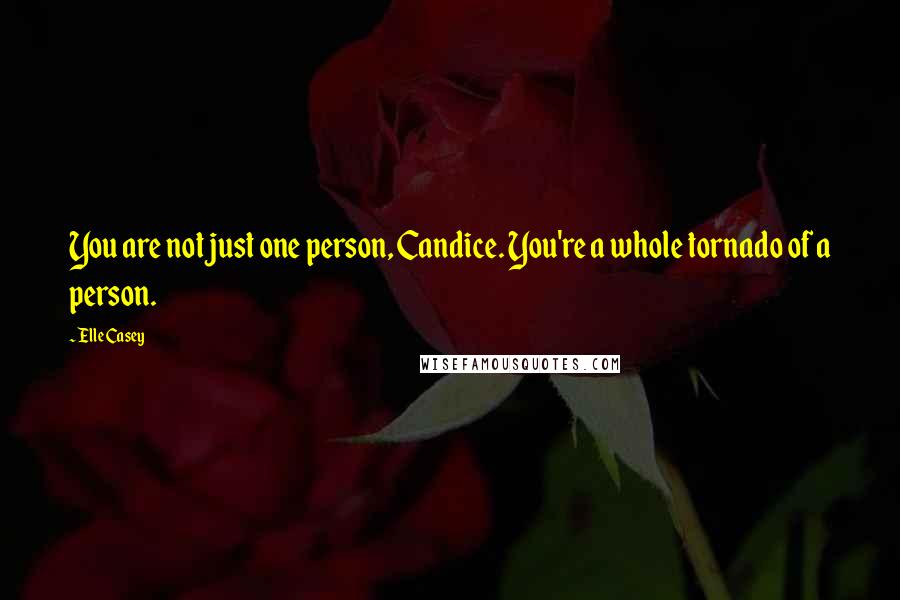 Elle Casey Quotes: You are not just one person, Candice. You're a whole tornado of a person.