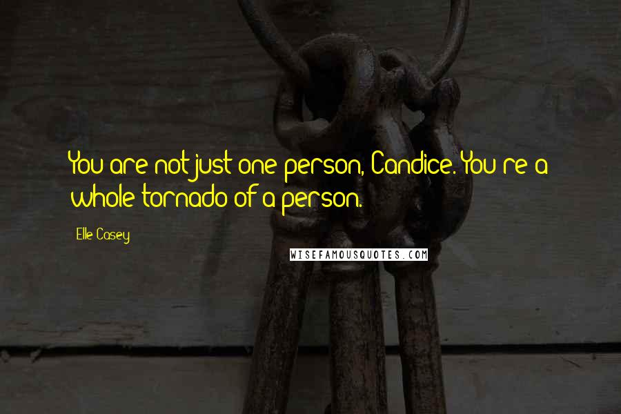 Elle Casey Quotes: You are not just one person, Candice. You're a whole tornado of a person.