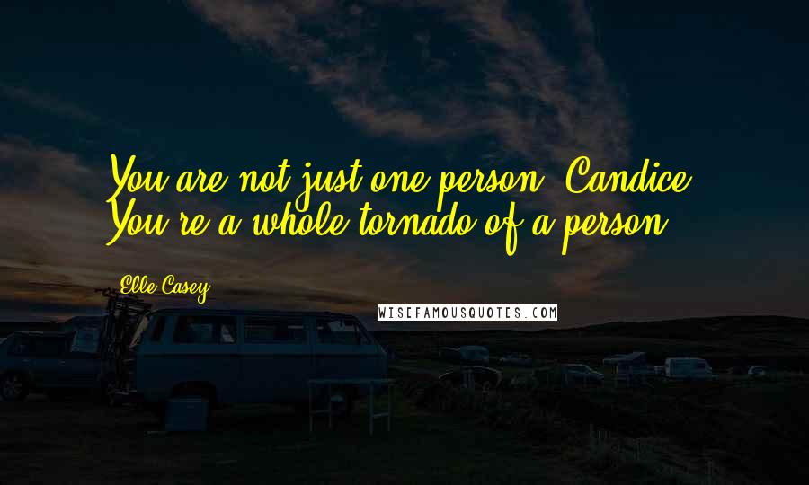 Elle Casey Quotes: You are not just one person, Candice. You're a whole tornado of a person.