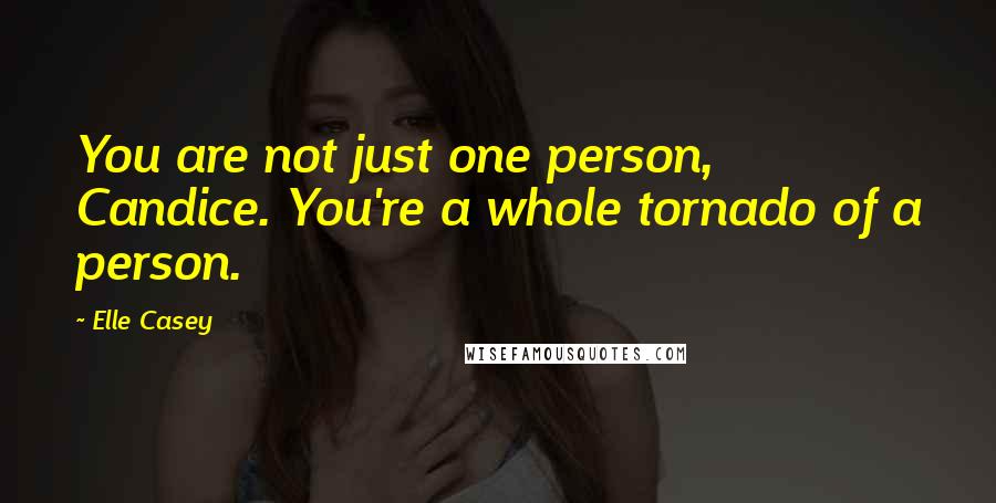 Elle Casey Quotes: You are not just one person, Candice. You're a whole tornado of a person.