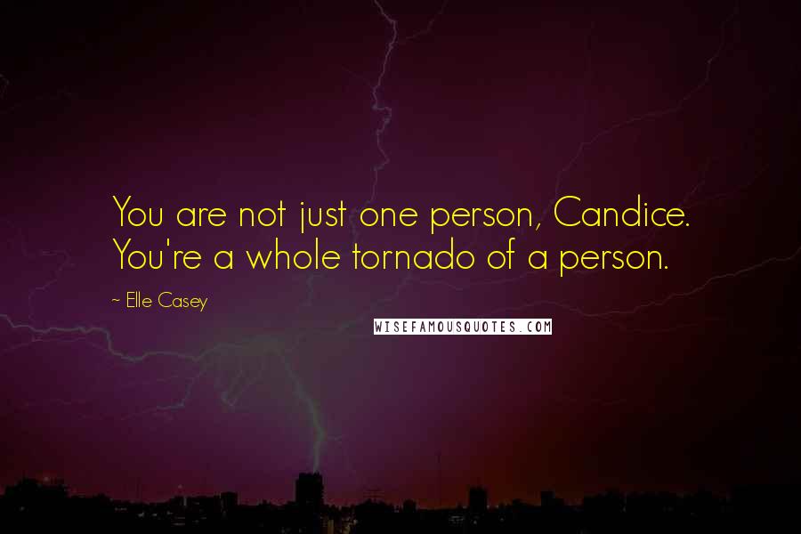 Elle Casey Quotes: You are not just one person, Candice. You're a whole tornado of a person.