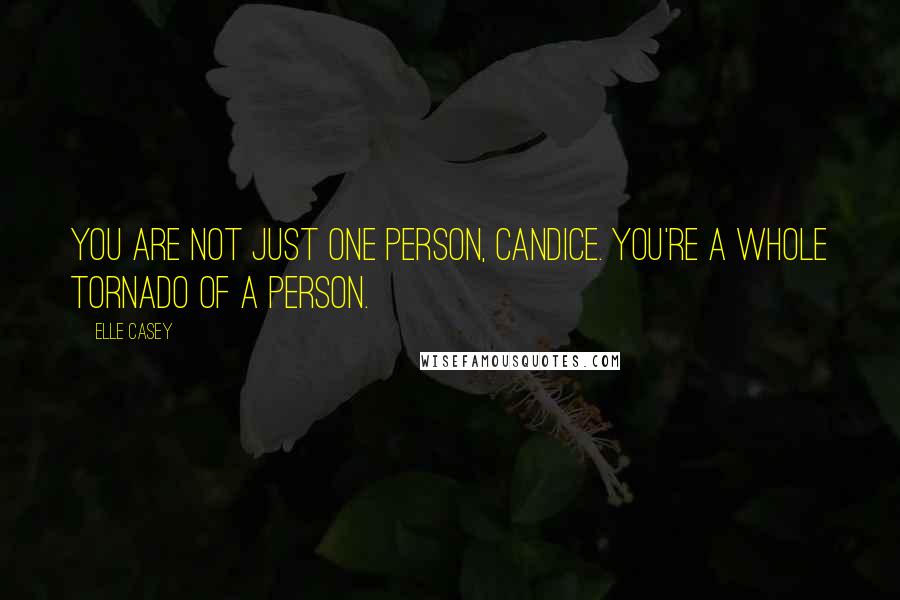Elle Casey Quotes: You are not just one person, Candice. You're a whole tornado of a person.