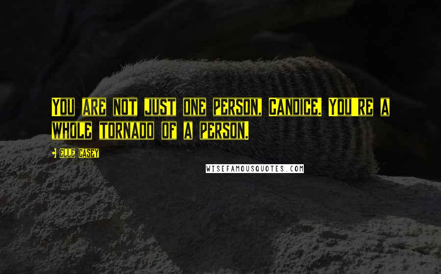 Elle Casey Quotes: You are not just one person, Candice. You're a whole tornado of a person.