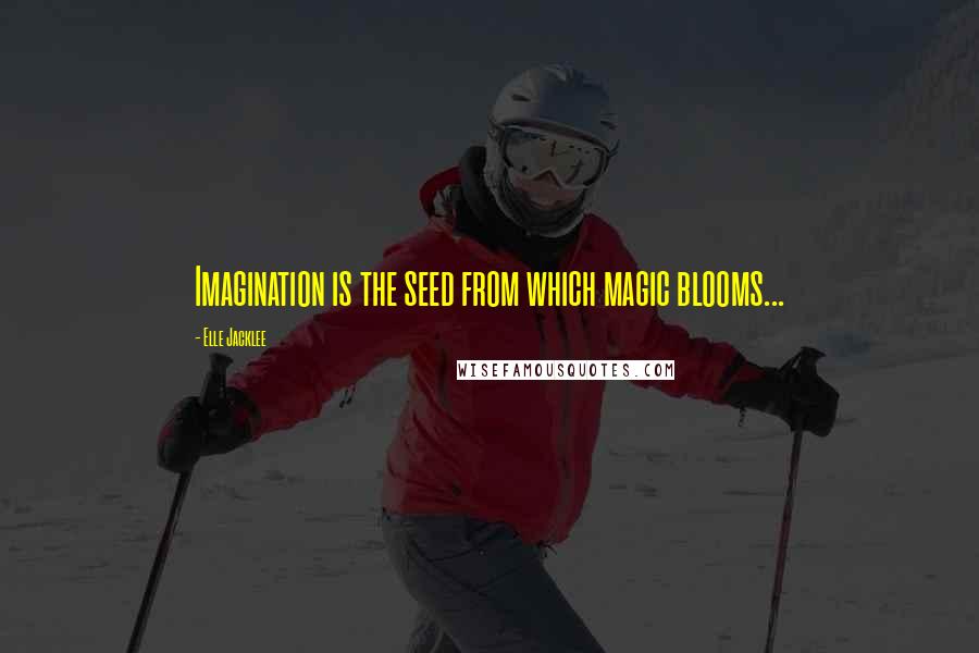 Elle Jacklee Quotes: Imagination is the seed from which magic blooms...