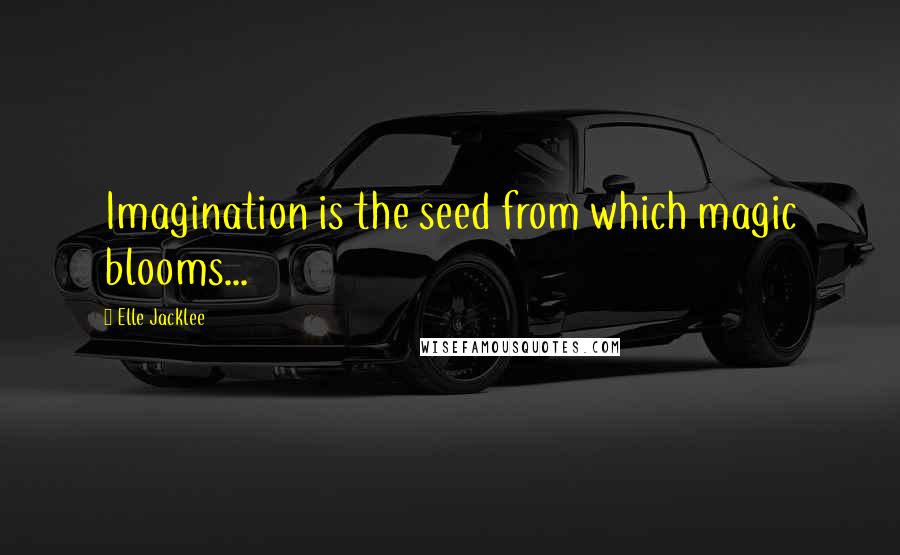 Elle Jacklee Quotes: Imagination is the seed from which magic blooms...