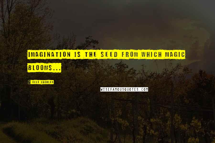 Elle Jacklee Quotes: Imagination is the seed from which magic blooms...