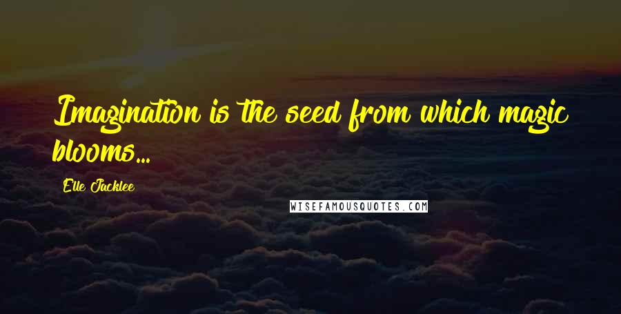 Elle Jacklee Quotes: Imagination is the seed from which magic blooms...