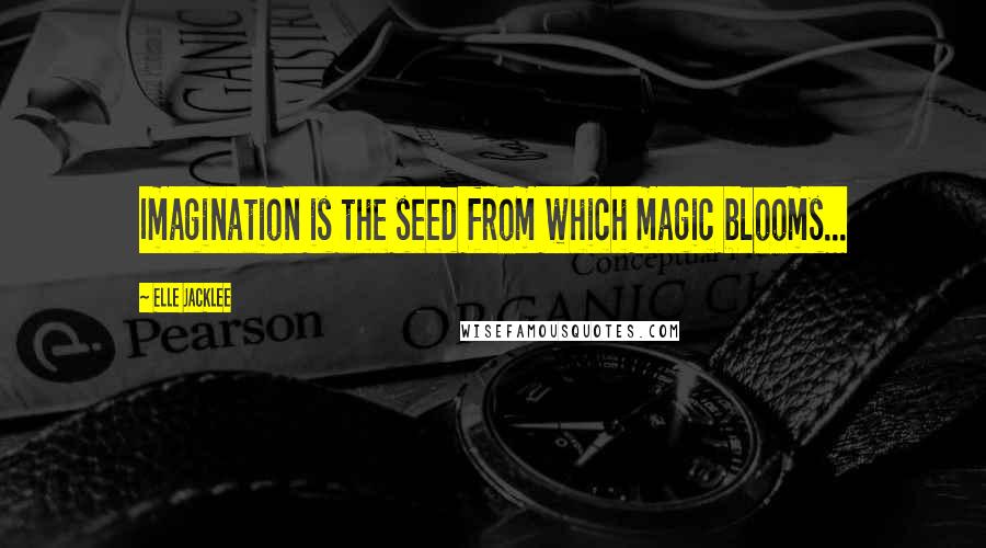 Elle Jacklee Quotes: Imagination is the seed from which magic blooms...