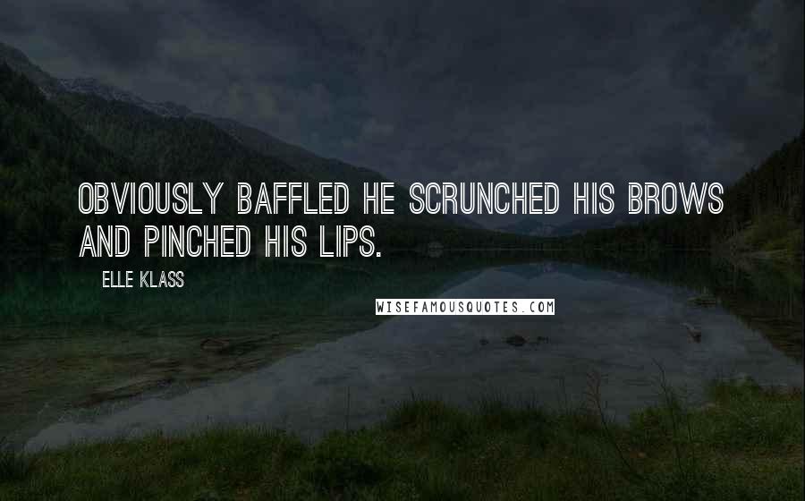 Elle Klass Quotes: Obviously baffled he scrunched his brows and pinched his lips.