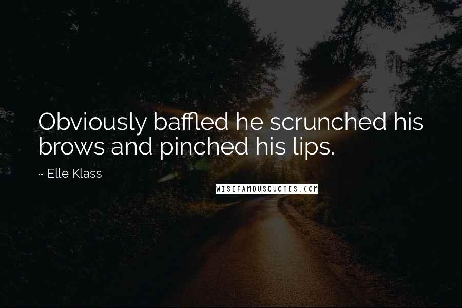 Elle Klass Quotes: Obviously baffled he scrunched his brows and pinched his lips.