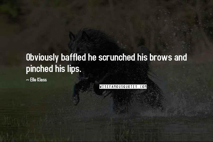 Elle Klass Quotes: Obviously baffled he scrunched his brows and pinched his lips.