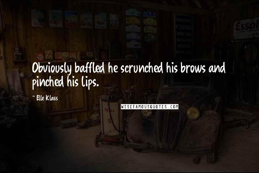 Elle Klass Quotes: Obviously baffled he scrunched his brows and pinched his lips.