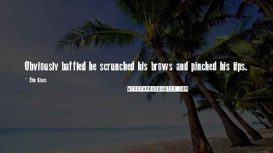 Elle Klass Quotes: Obviously baffled he scrunched his brows and pinched his lips.