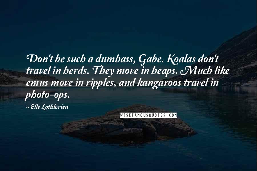 Elle Lothlorien Quotes: Don't be such a dumbass, Gabe. Koalas don't travel in herds. They move in heaps. Much like emus move in ripples, and kangaroos travel in photo-ops.