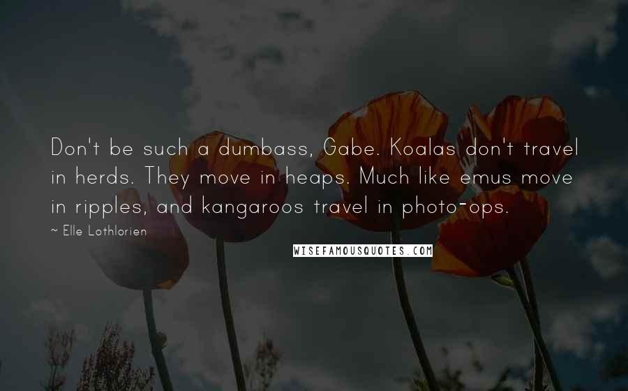 Elle Lothlorien Quotes: Don't be such a dumbass, Gabe. Koalas don't travel in herds. They move in heaps. Much like emus move in ripples, and kangaroos travel in photo-ops.