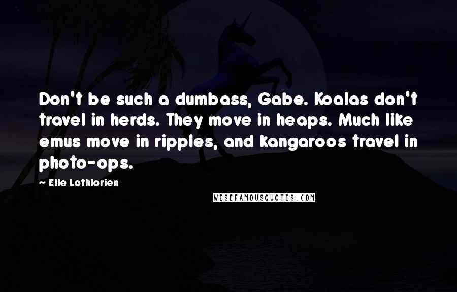 Elle Lothlorien Quotes: Don't be such a dumbass, Gabe. Koalas don't travel in herds. They move in heaps. Much like emus move in ripples, and kangaroos travel in photo-ops.